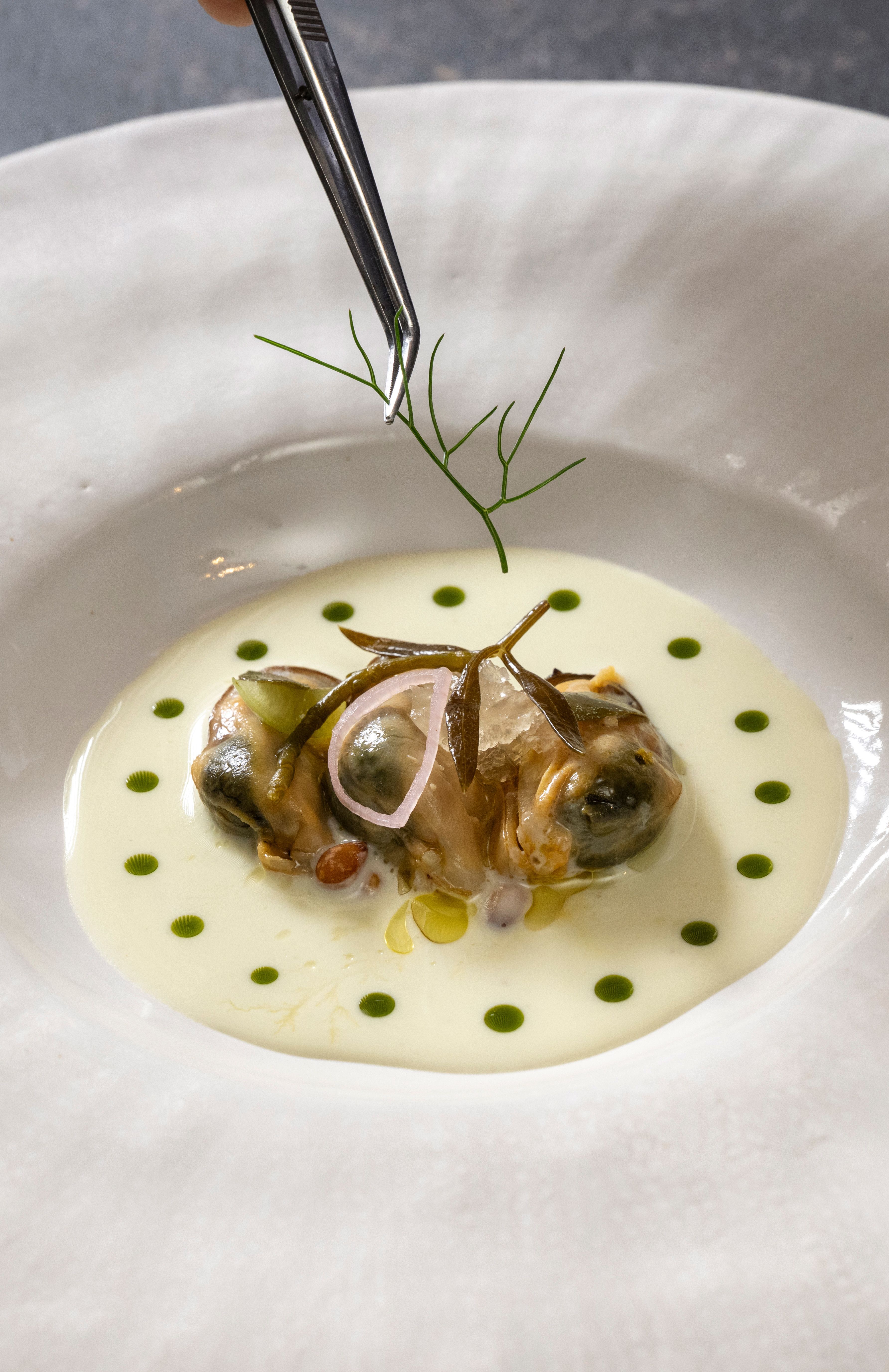 Gericht Miesmuscheln