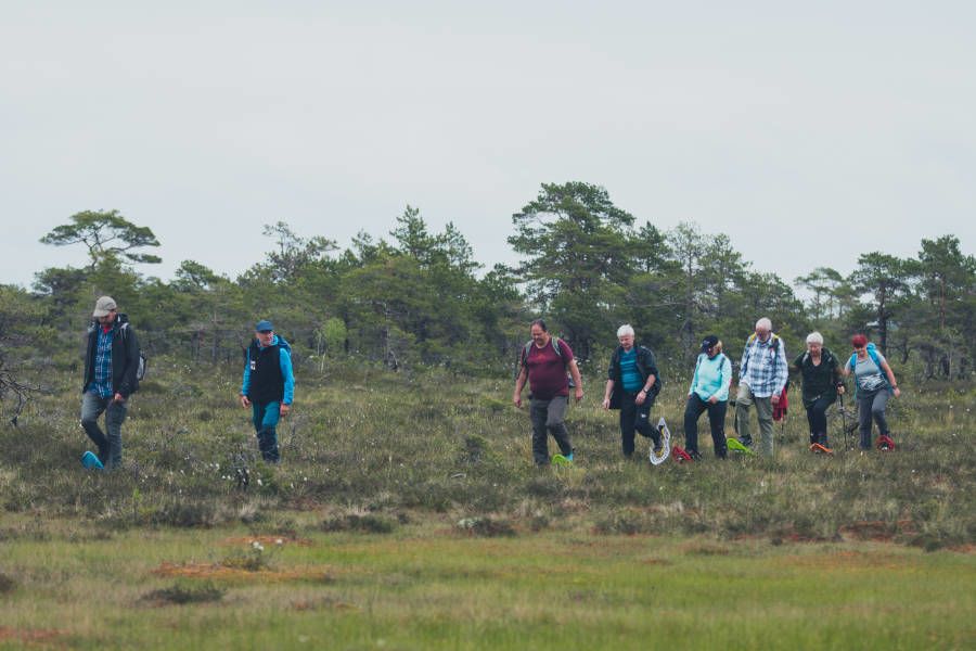 Moorwanderung im Marimetsa Hochmoor