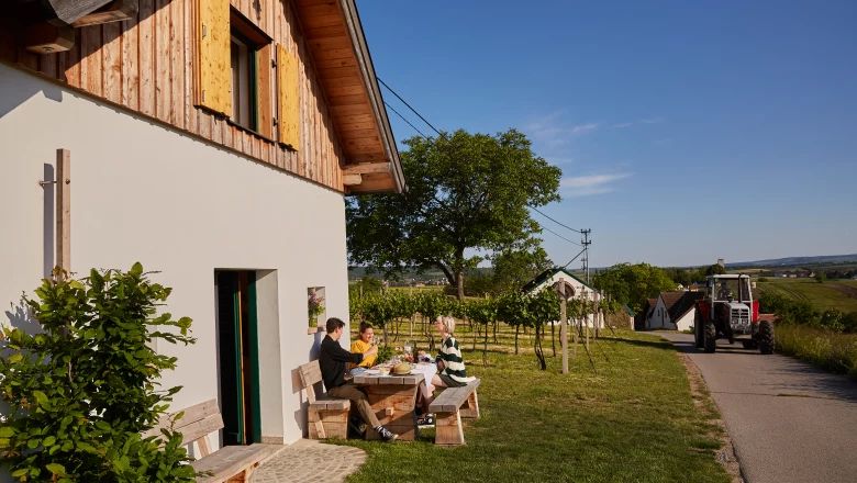 Am Galgenberg – Fam. Hotschek und Appel, © Weinviertel Tourismus / Michael Liebert